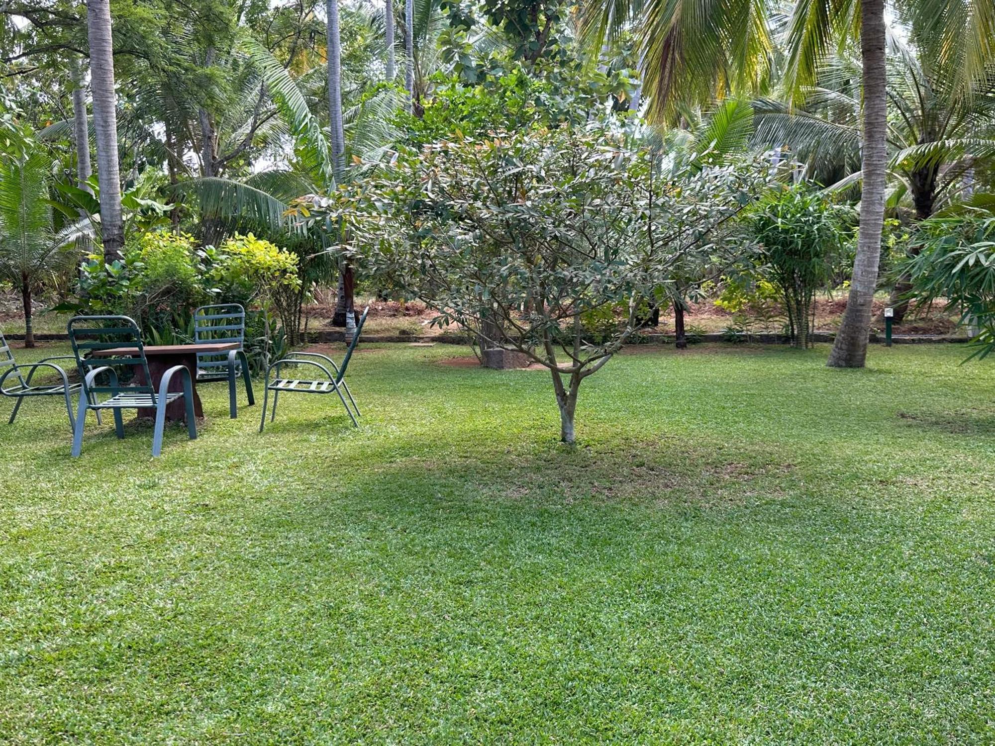 Hotel Heladiv Anuradhapura Εξωτερικό φωτογραφία