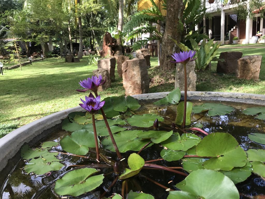Hotel Heladiv Anuradhapura Εξωτερικό φωτογραφία